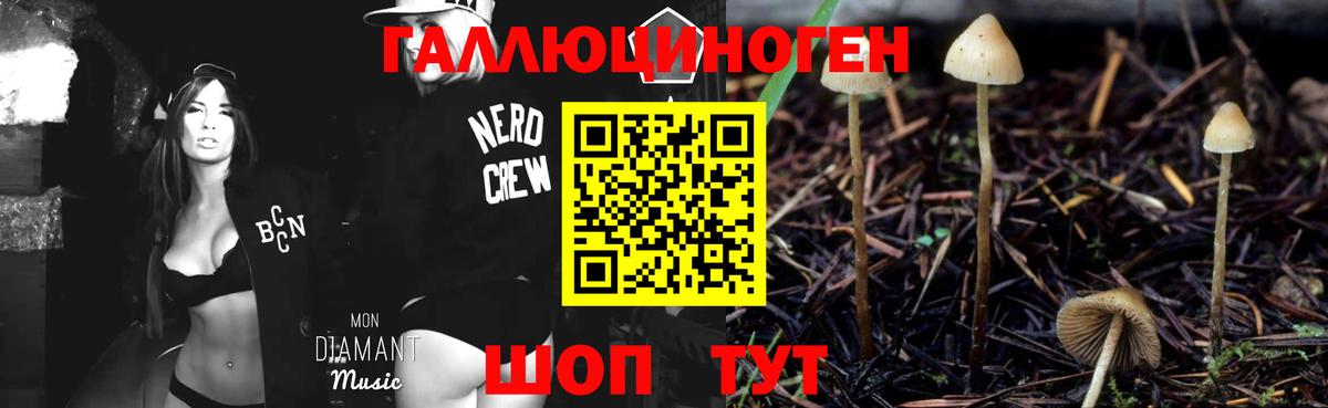 Верхняя Салда  Псилоцибиновые грибы Psilocybe  Вход с VPN 